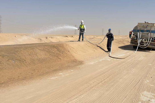 SAND FIXATION